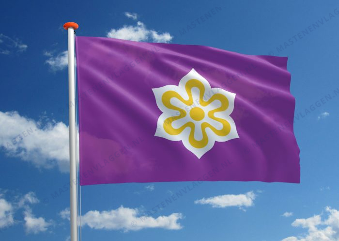 Streekvlag Kyoto