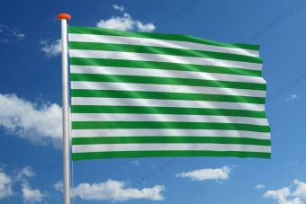 Streekvlag Meta
