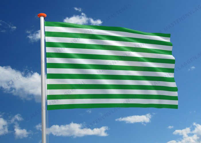 Streekvlag Meta