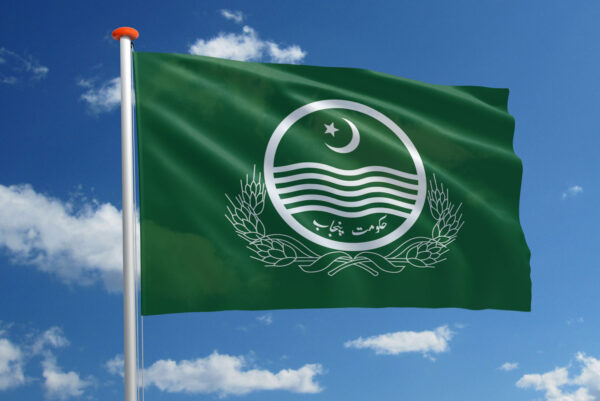 Streekvlag Punjab