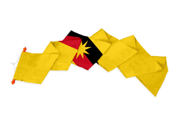 Streekwimpel Sarawak