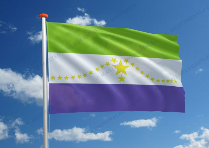 Streekvlag Usulután
