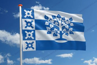 Vlag Haaren
