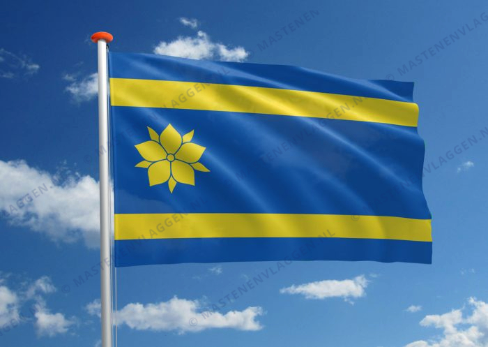 Vlag Hattem