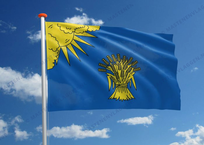 Vlag Reusel-De Mierden