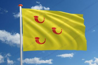 Dorpsvlag Leende