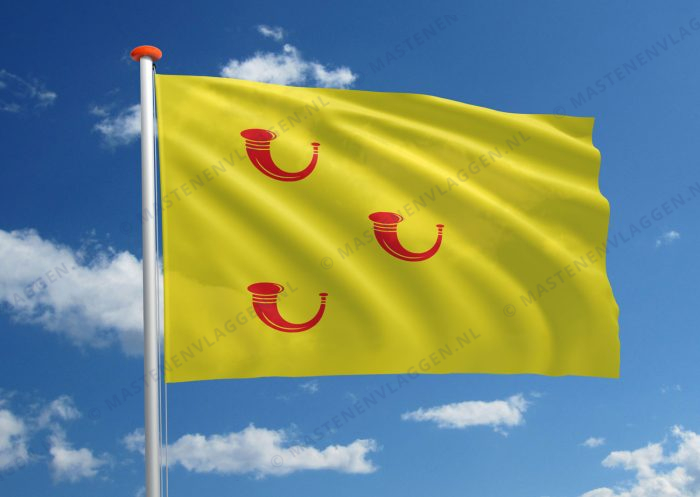 Dorpsvlag Leende
