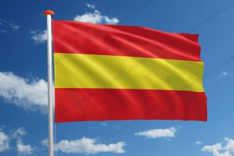 Dorpsvlag Maasdam