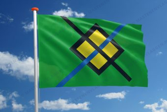 Dorpsvlag Nieuw-Vennep
