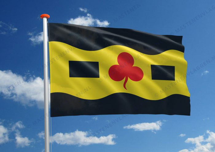 Dorpsvlag Nij Beets