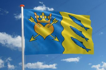 Dorpsvlag Nuis-Niebert
