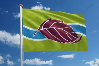 Dorpsvlag Olland