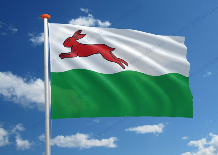 Dorpsvlag Oudehaske