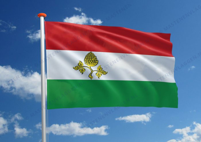 Dorpsvlag Peize