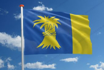 Dorpsvlag Reduzum