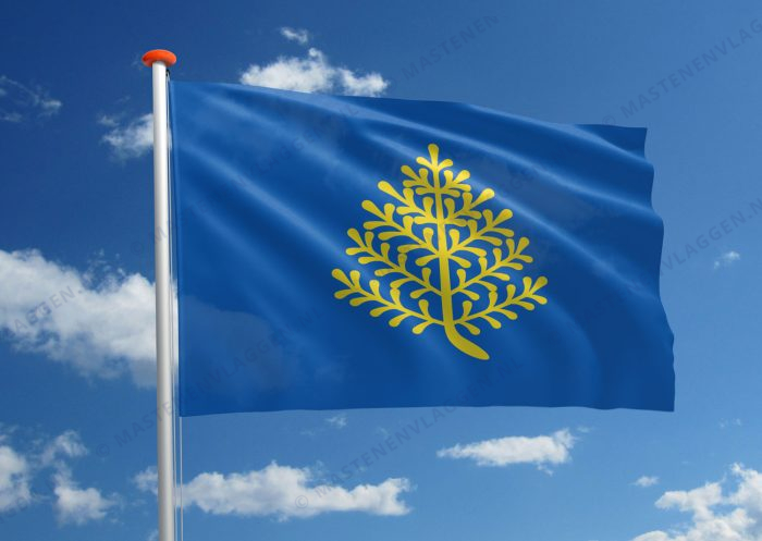 Stadsvlag Rijssen