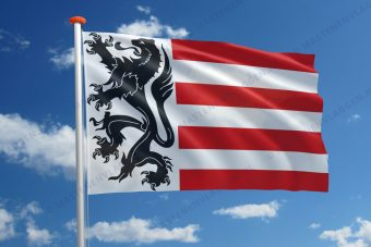 Dorpsvlag Sas van Gent