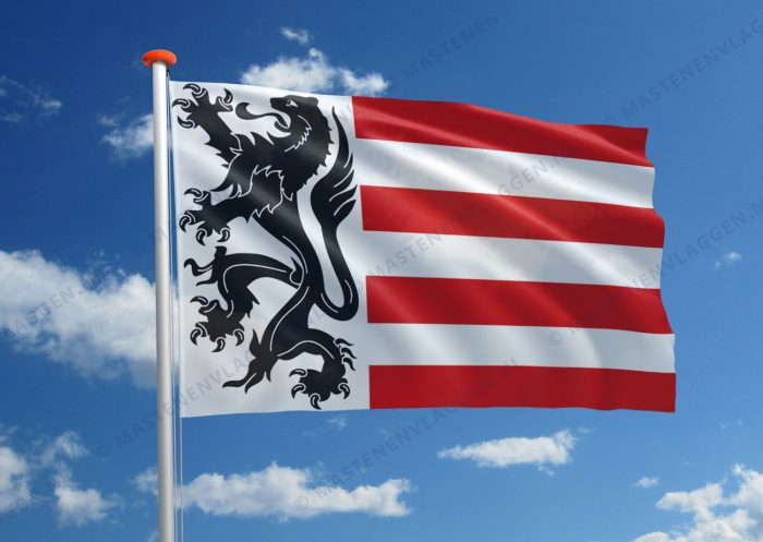 Dorpsvlag Sas van Gent