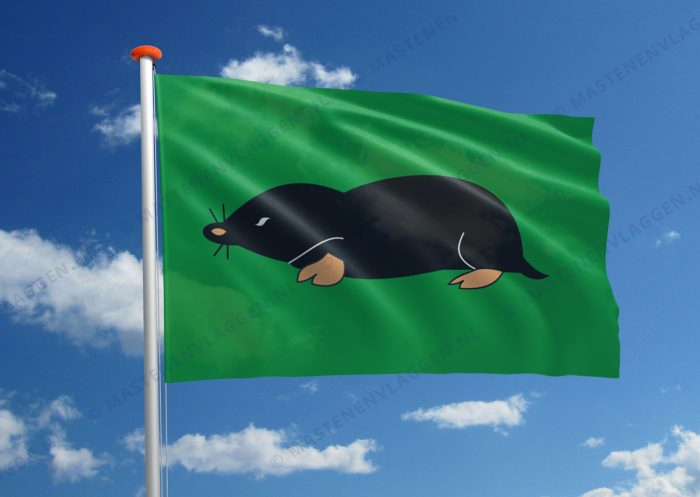 Dorpsvlag Schermerhorn