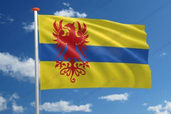 Dorpsvlag Schoonebeek