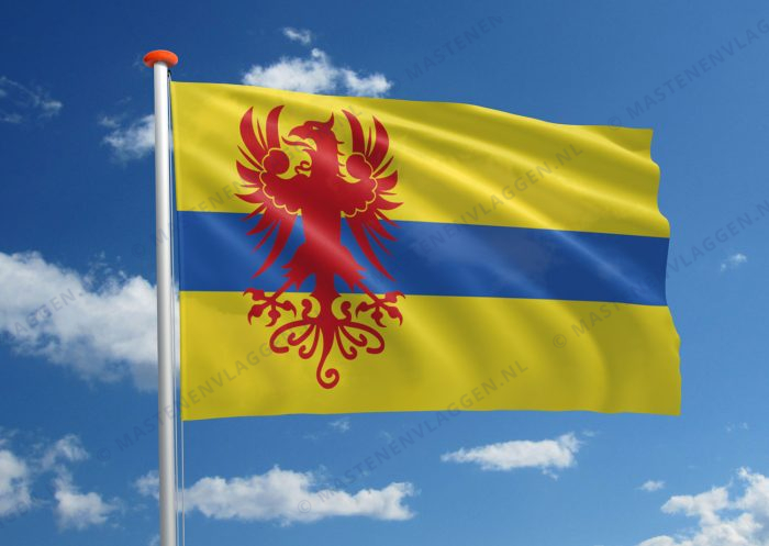 Dorpsvlag Schoonebeek
