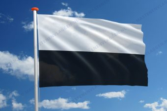 Dorpsvlag Sint Jansteen