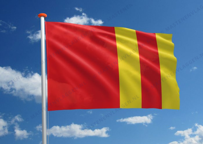 Dorpsvlag Ter Aar