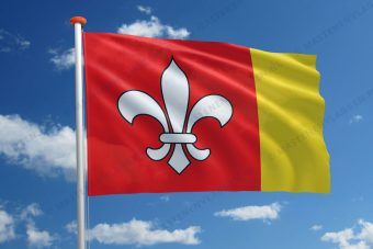Dorpsvlag Terherne