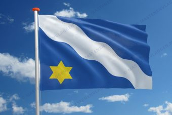 Dorpsvlag Ternaard