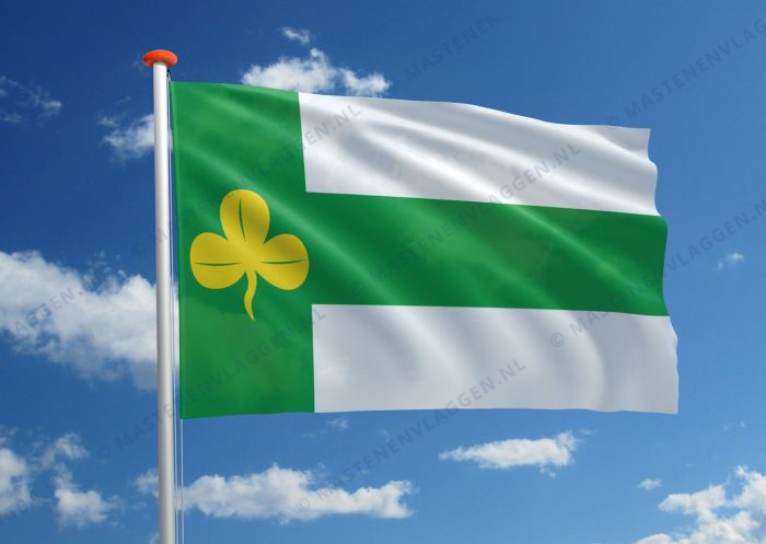 Dorpsvlag Terwispel