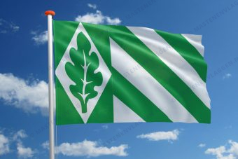 Dorpsvlag Vriezenveen