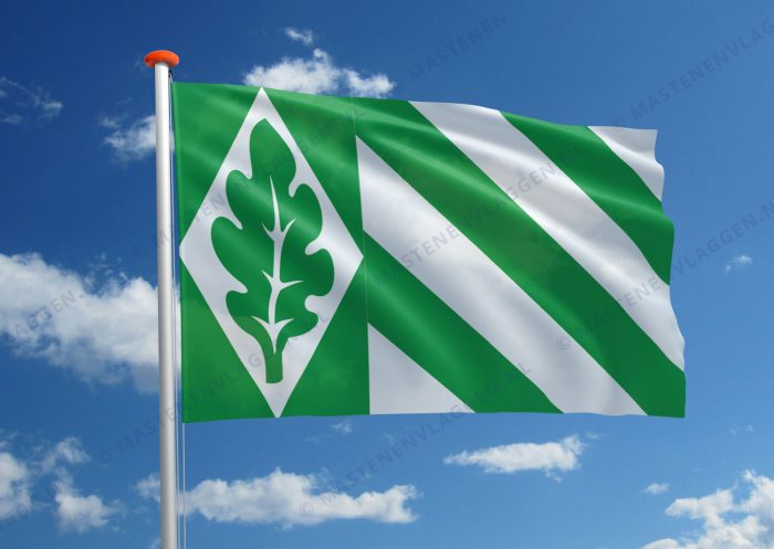 Dorpsvlag Vriezenveen