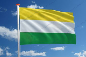 Dorpsvlag Wijhe
