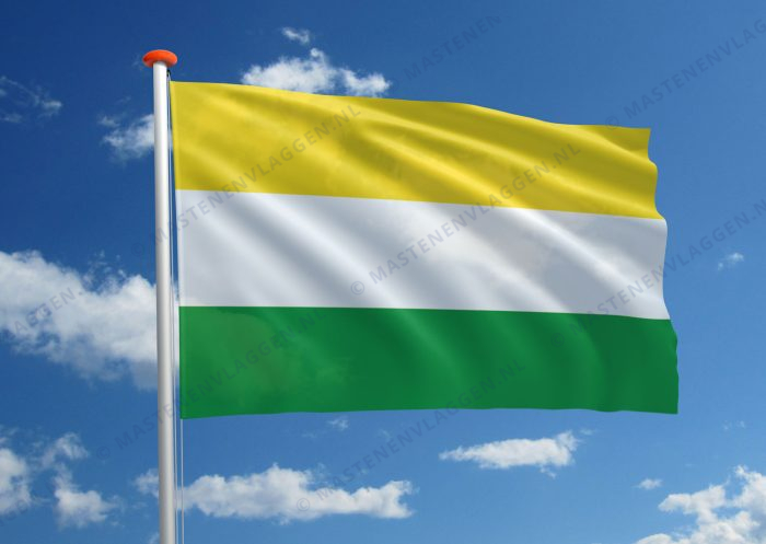 Dorpsvlag Wijhe