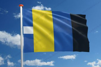 Dorpsvlag Witmarsum