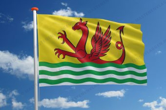 Dorpsvlag Wolphaartsdijk