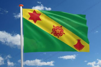 Dorpsvlag Wommels