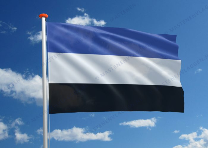 Dorpsvlag ‘s-Gravenpolder