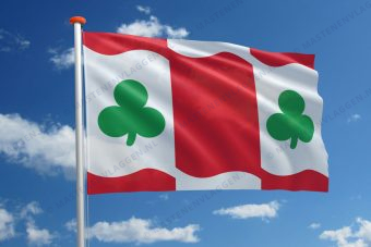 Dorpsvlag Huins