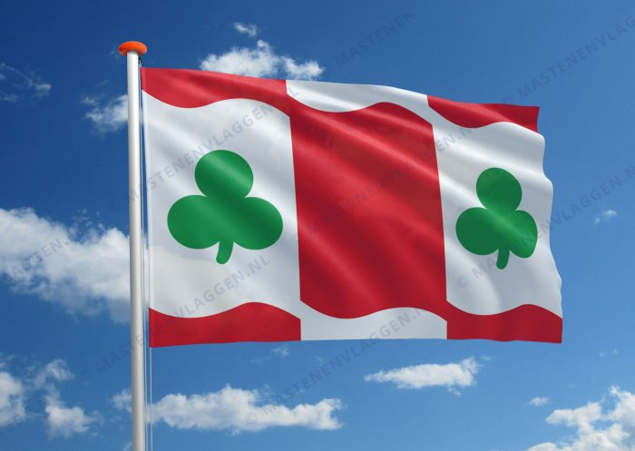 Dorpsvlag Huins