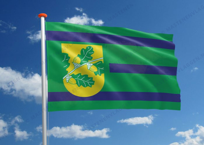 Dorpsvlag Nijeholtpade