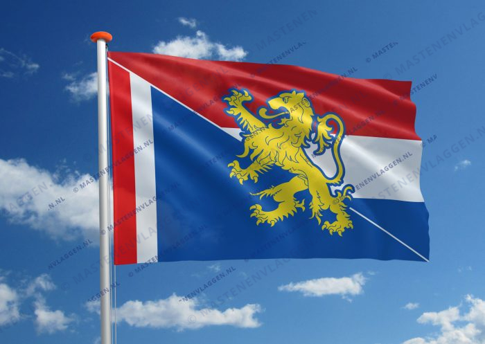 Vlag Leeuwarden-Nederland
