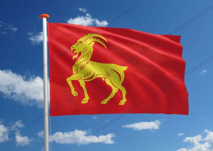 Vlag Boxmeer