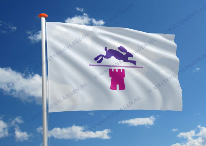 Vlag Bronckhorst