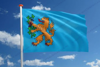 Vlag Brummen