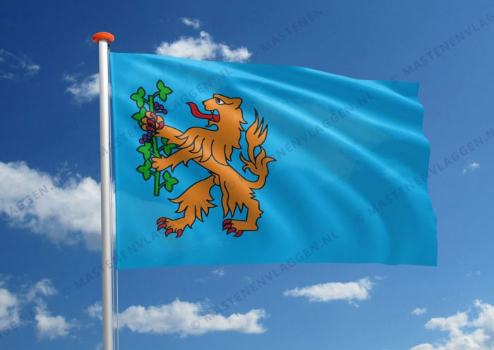 Vlag Brummen