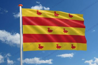 Vlag Grave