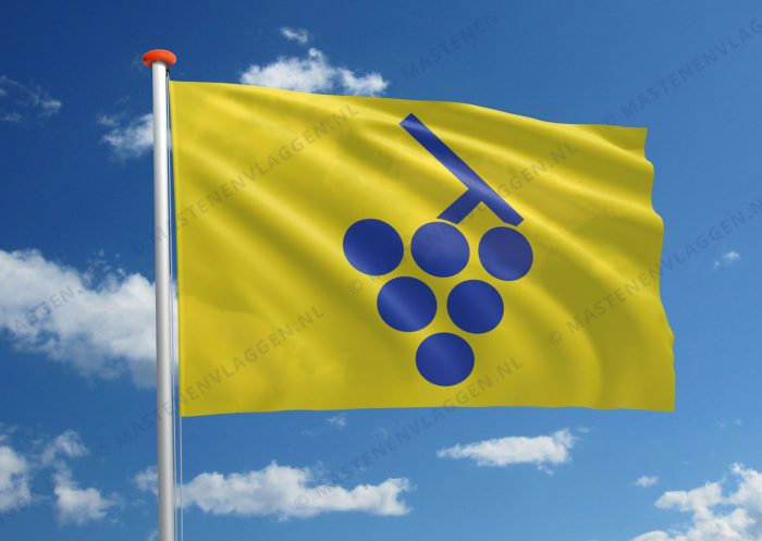 Vlag Overijse