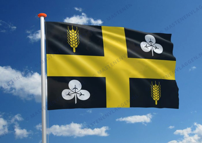 Vlag Raalte