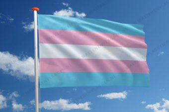 Transgendervlag